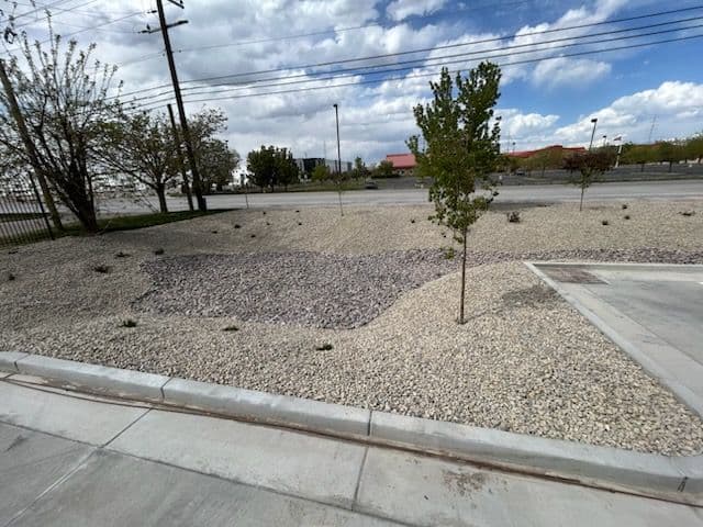 Project Transformative Low-Maintenance Landscaping in Salt Lake image