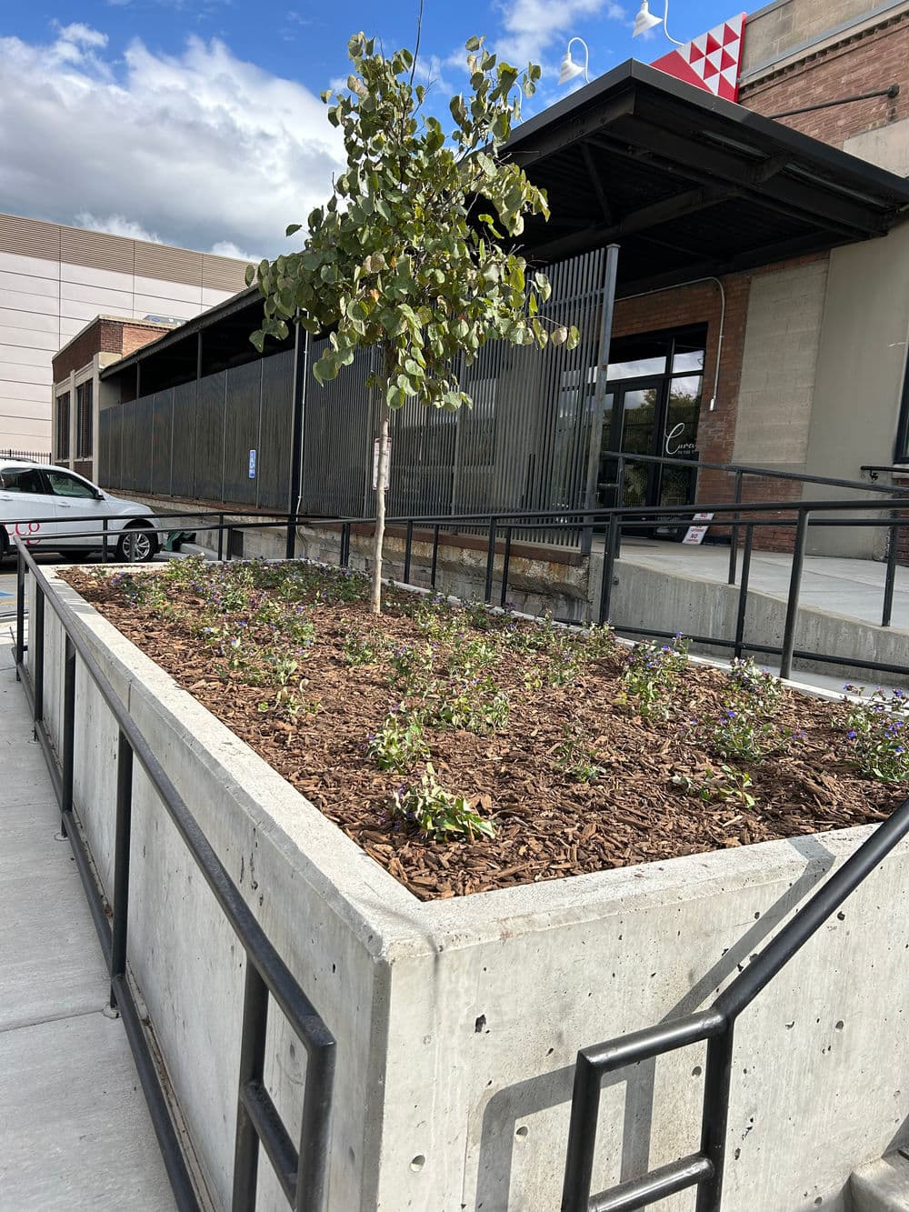 Planter box with small tree and flowers outside a modern building on a sunny day.