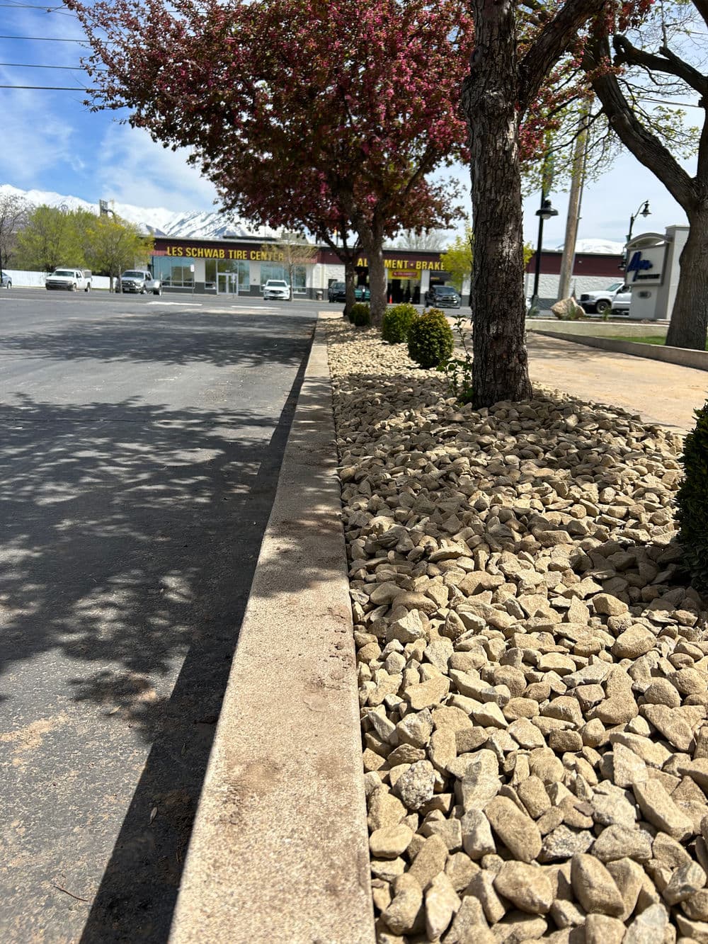 Rock landscaping alongside a paved parking lot with blooming trees in the background.