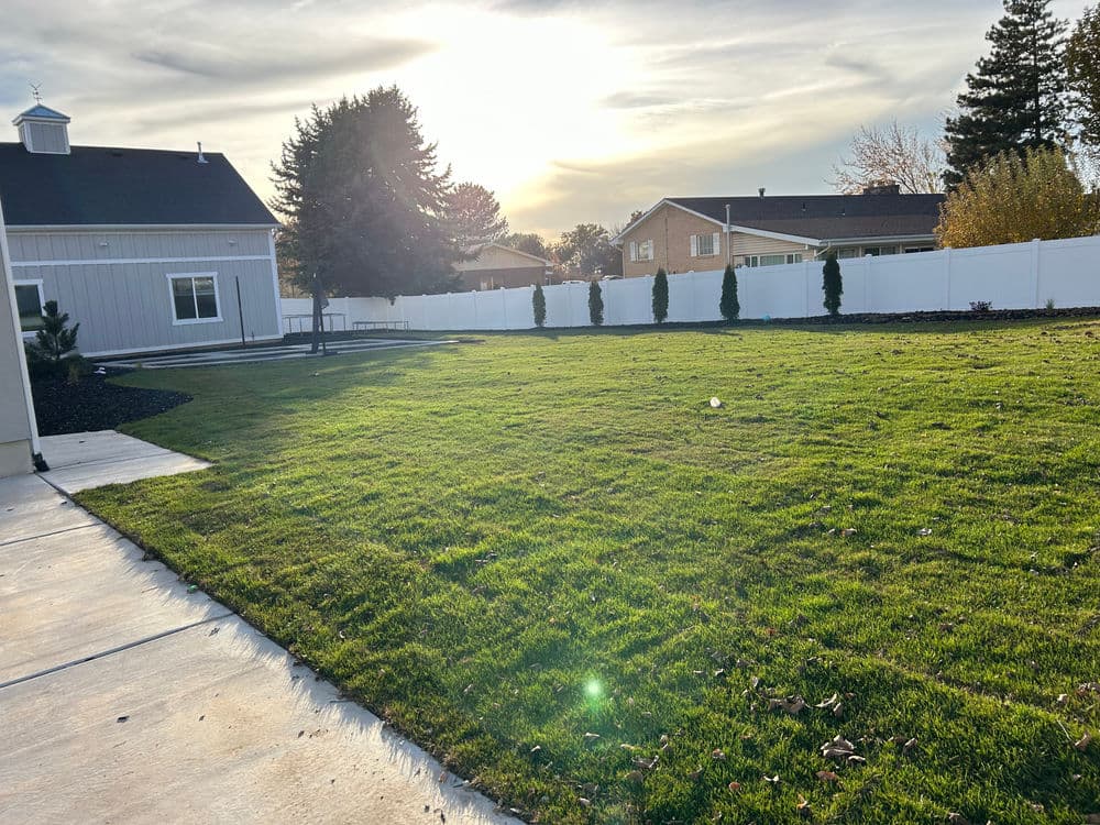 Lawn with fresh grass, fence, sunset, and houses in the background. Ideal for outdoor activities.