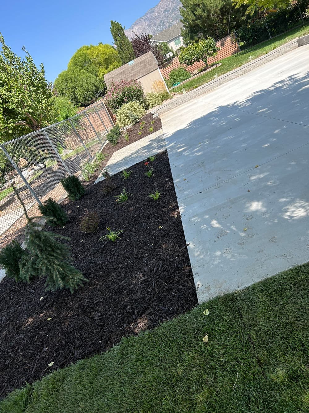 Landscaped garden with fresh mulch and plants beside a concrete area and fence.