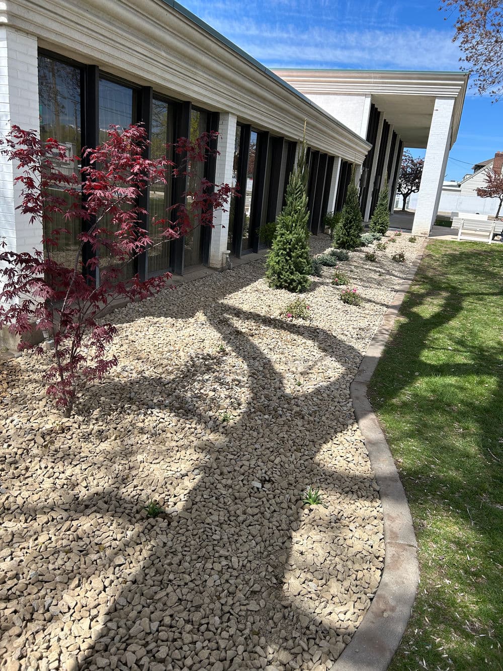 Commercial building landscaping with gravel, small trees, and colorful shrubs under clear blue sky.