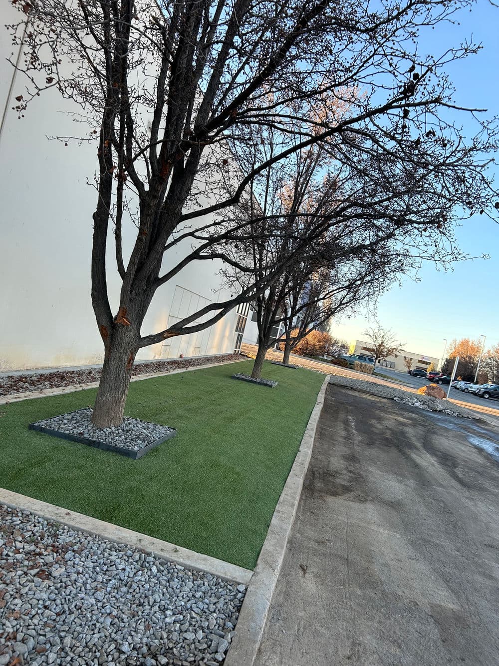 Row of bare trees along a gravel path and green artificial grass near a building.
