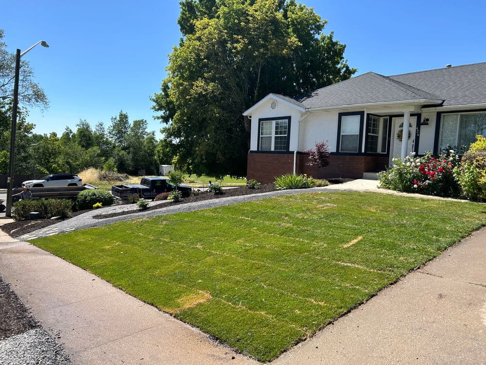 Newly landscaped front yard with green grass, flower beds, and a clear blue sky.